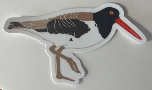 Oystercatcher Sticker